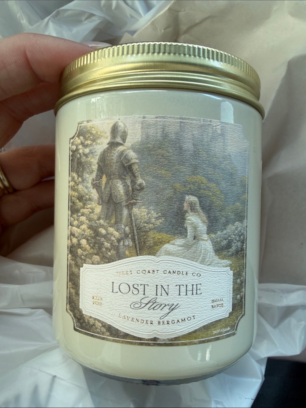 Viral Booktok Lost in the story candle